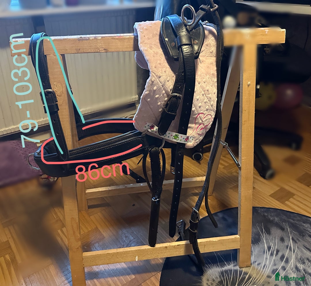 Körselar körning till salu: Bröstsele ponny  i Malmbäck - Annons 2