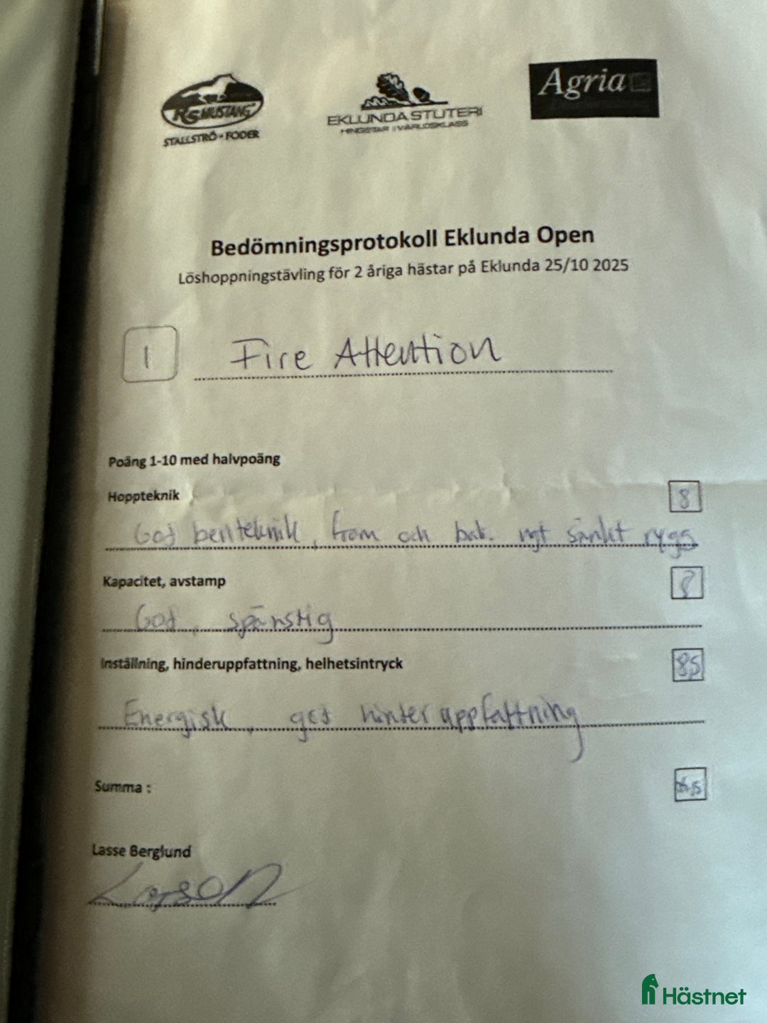 Hoppning hästar till salu: Lovande D ponny hingst i Vedevåg - Annons 3