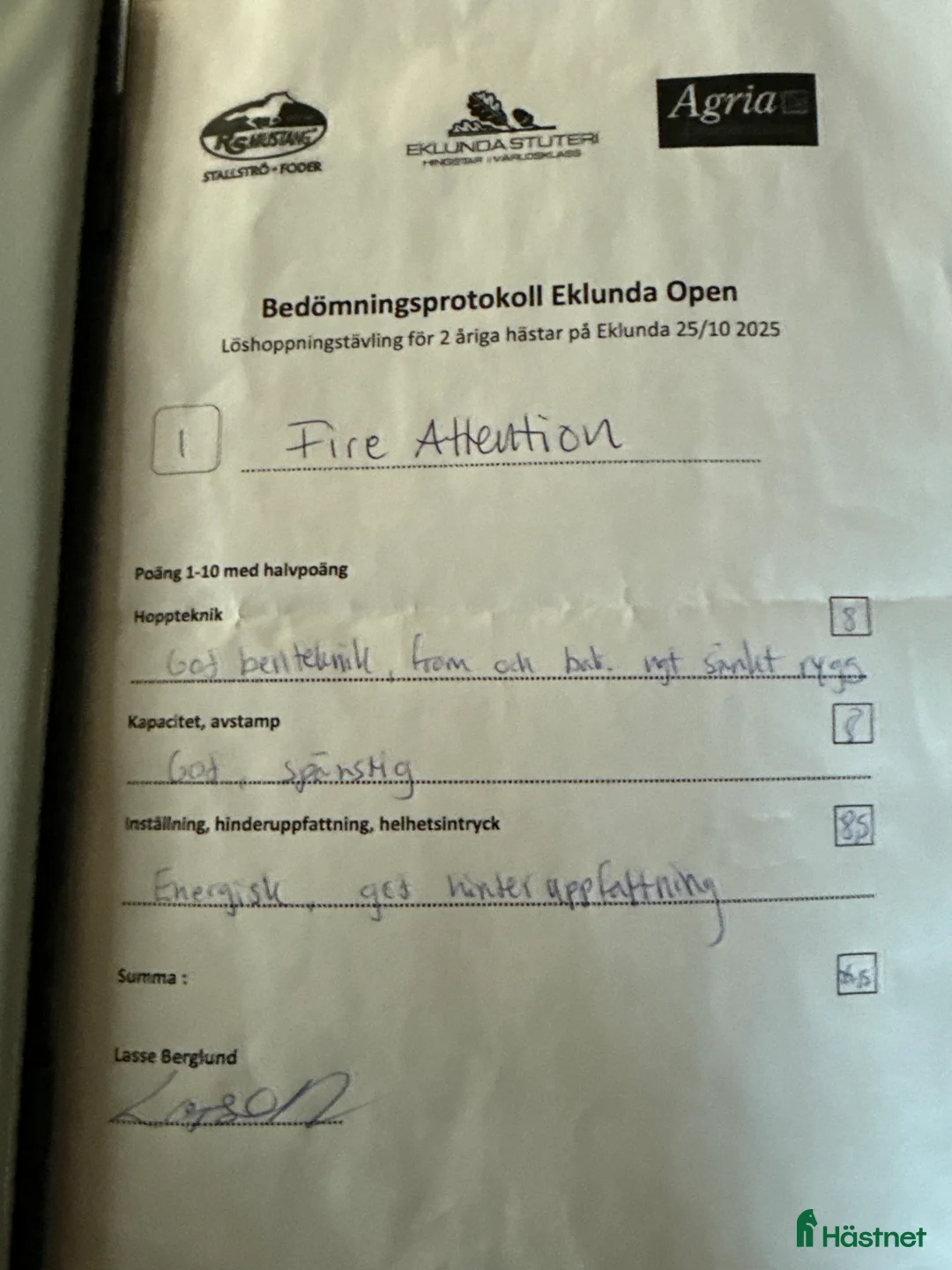 Hoppning hästar till salu: Lovande D ponny hingst i Vedevåg - Annons 3