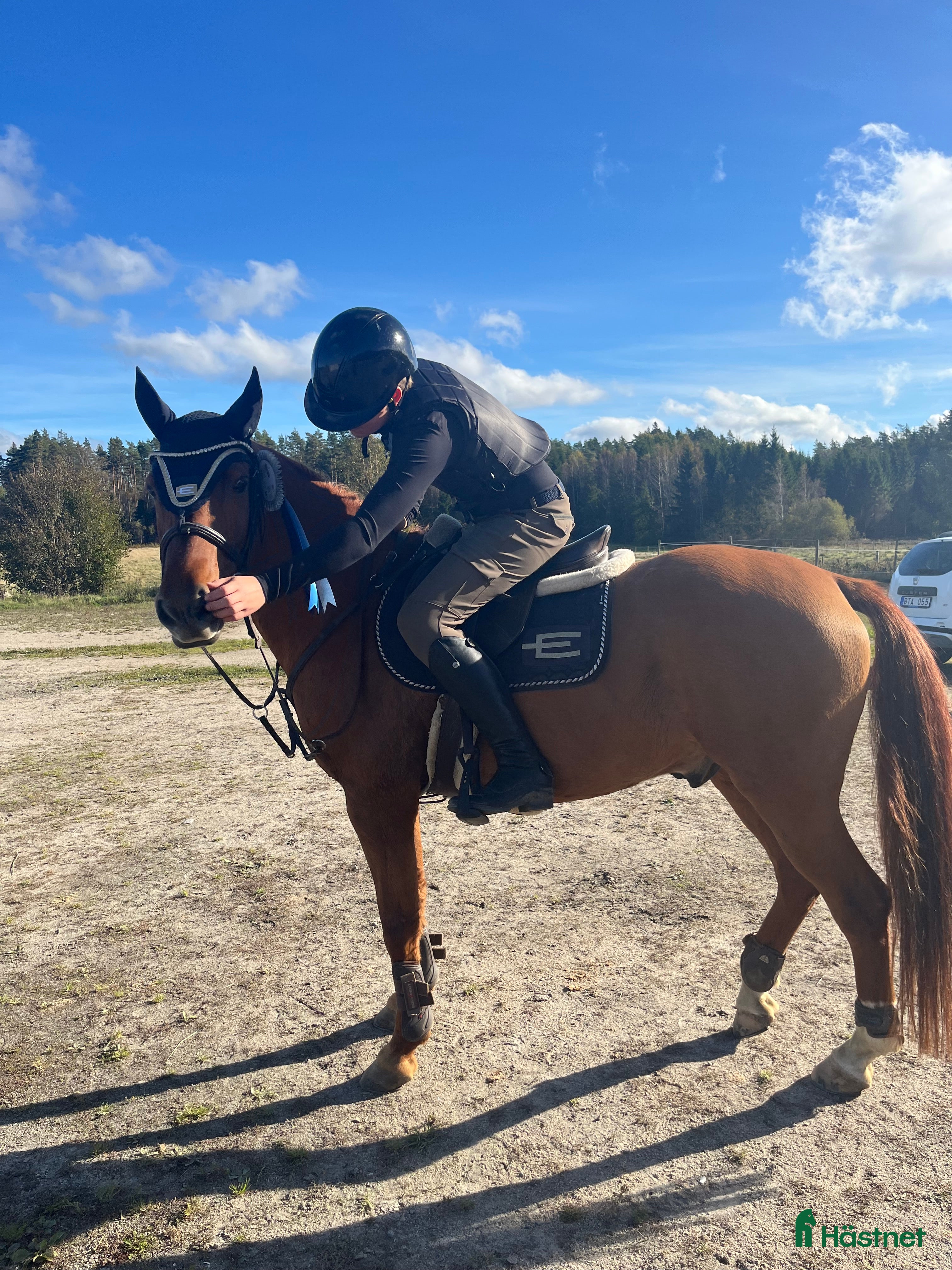  hästar Maxad D-ponny - Annons 4