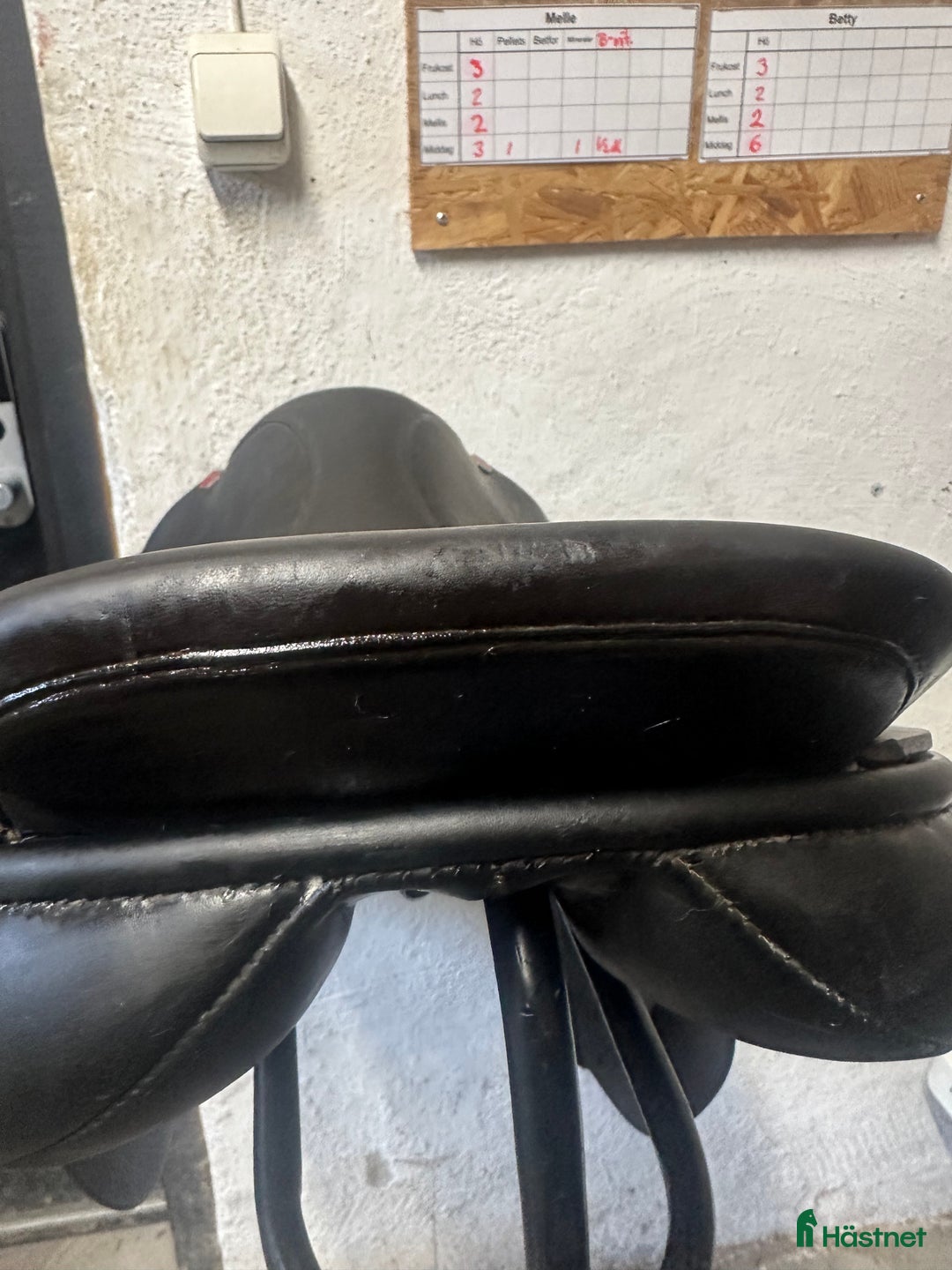 Sadlar hästutrustning till salu:  Albion legend hoppsadel 17tum  i Örebro - Annons 8