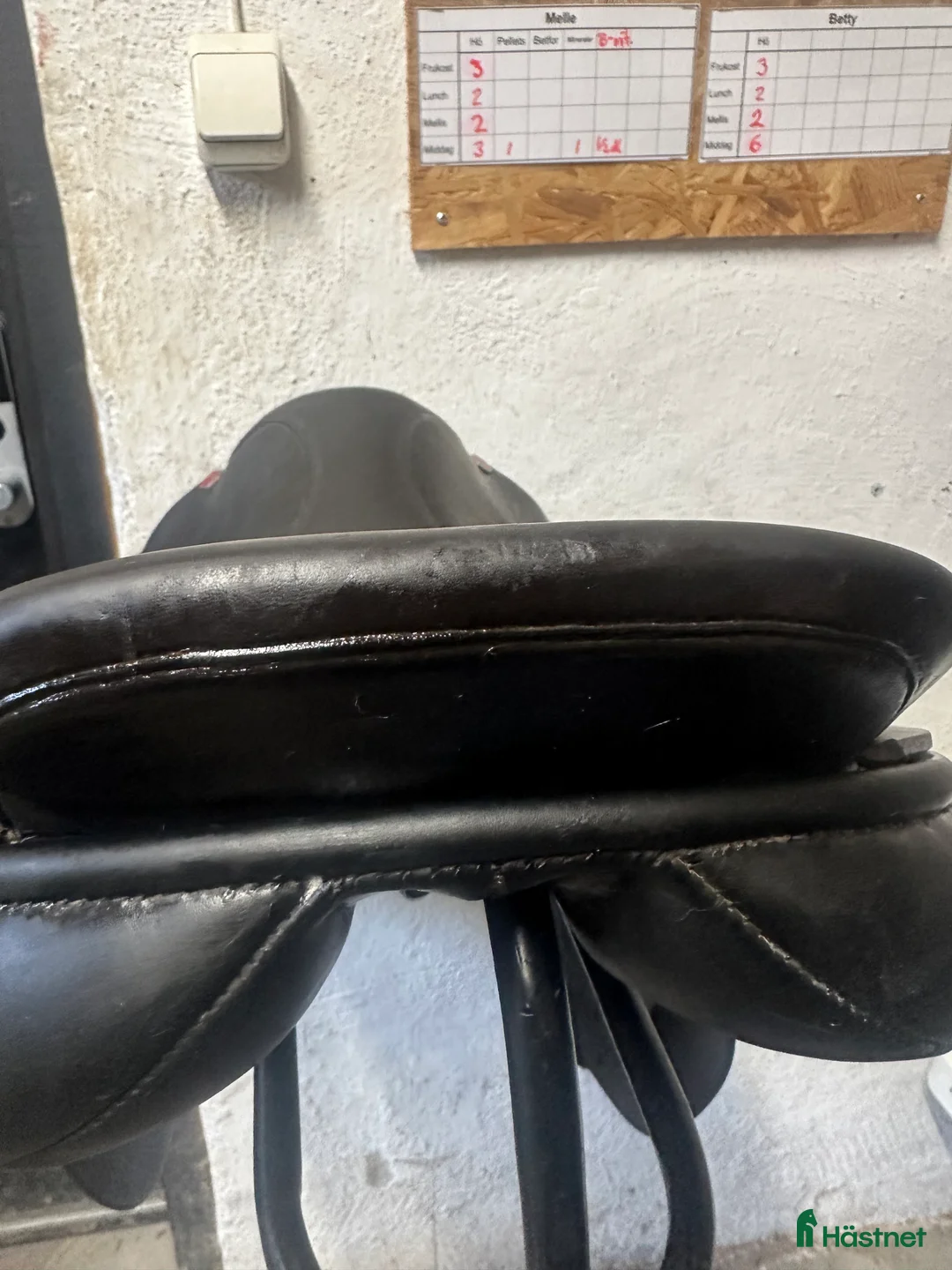 Sadlar hästutrustning till salu:  Albion legend hoppsadel 17tum  i Örebro - Annons 8