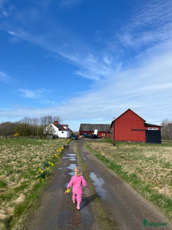 hästgårdar till salu i Varberg - Annons 1