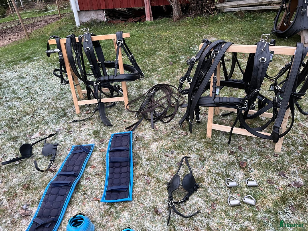 Körselar körning till salu: Parselar ponny Ideal i Västra Ämtervik - Annons 11