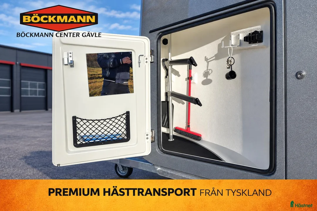 Hästtransporter  fordon & transport till salu: Böckmann Comfort Esprit –DEMOVAGN–5 000 kr rabatt! - Annons 4