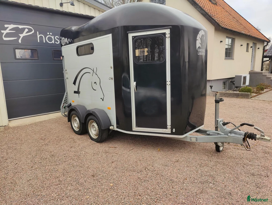 Hästtransporter  fordon & transport till salu: Cheval Liberte Gold 3, 2019 - Annons 2