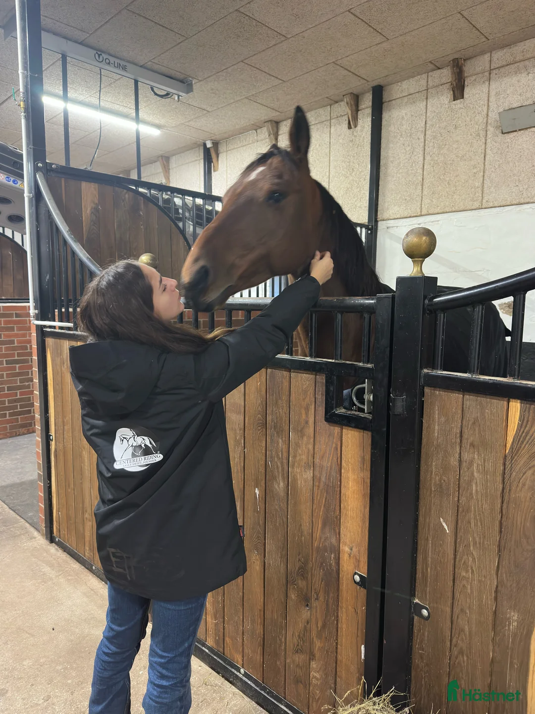 Western hästar sökes: Söker foderhäst/häst i träning western inriktning  - Annons 2