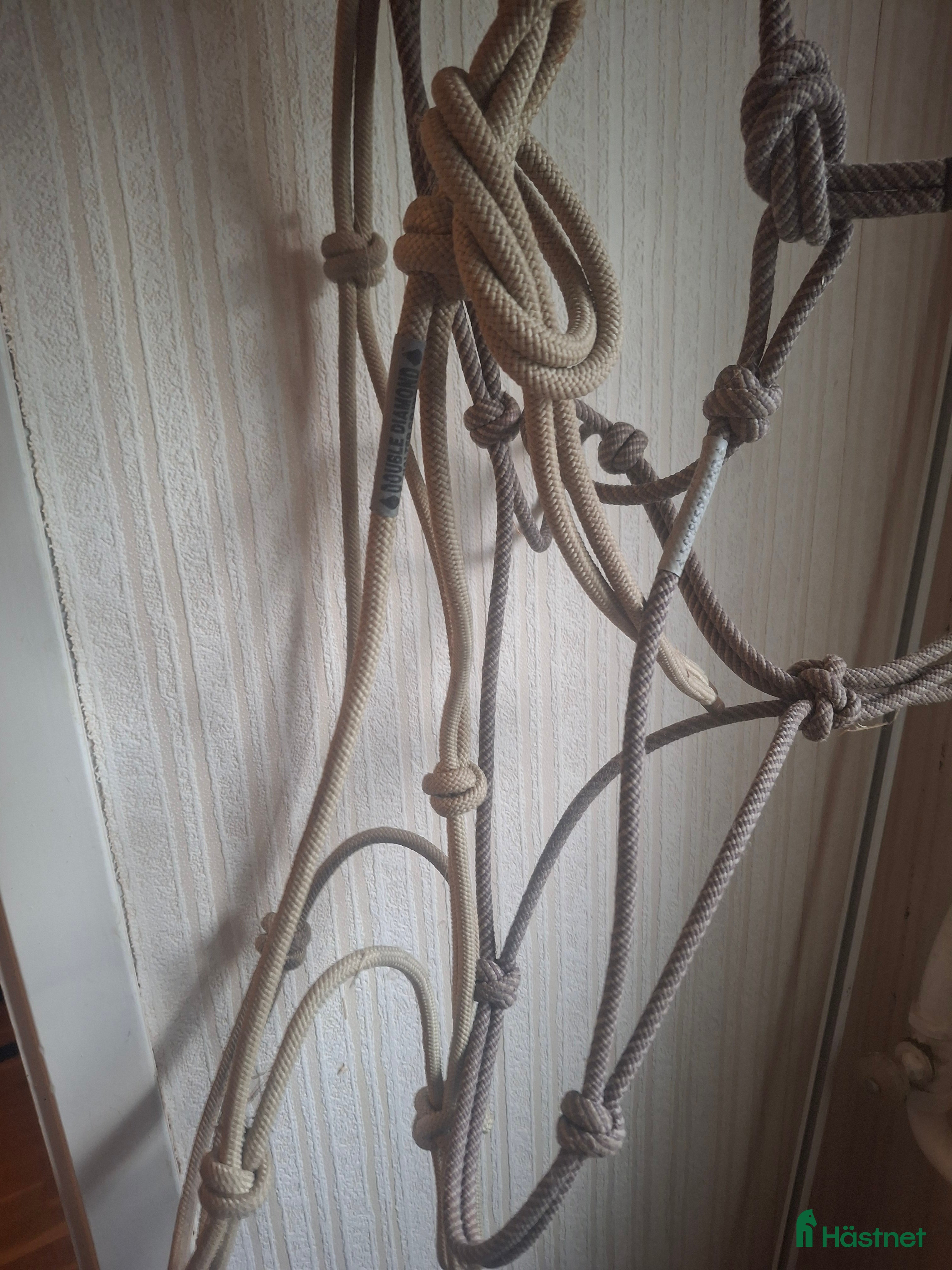 Övrig Hästutrustning hästutrustning till salu: Diamond repgrimmor i Mjöhult - Annons 3