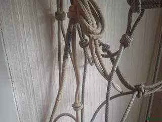 Övrig Hästutrustning hästutrustning Diamond repgrimmor i Mjöhult - Annons 2