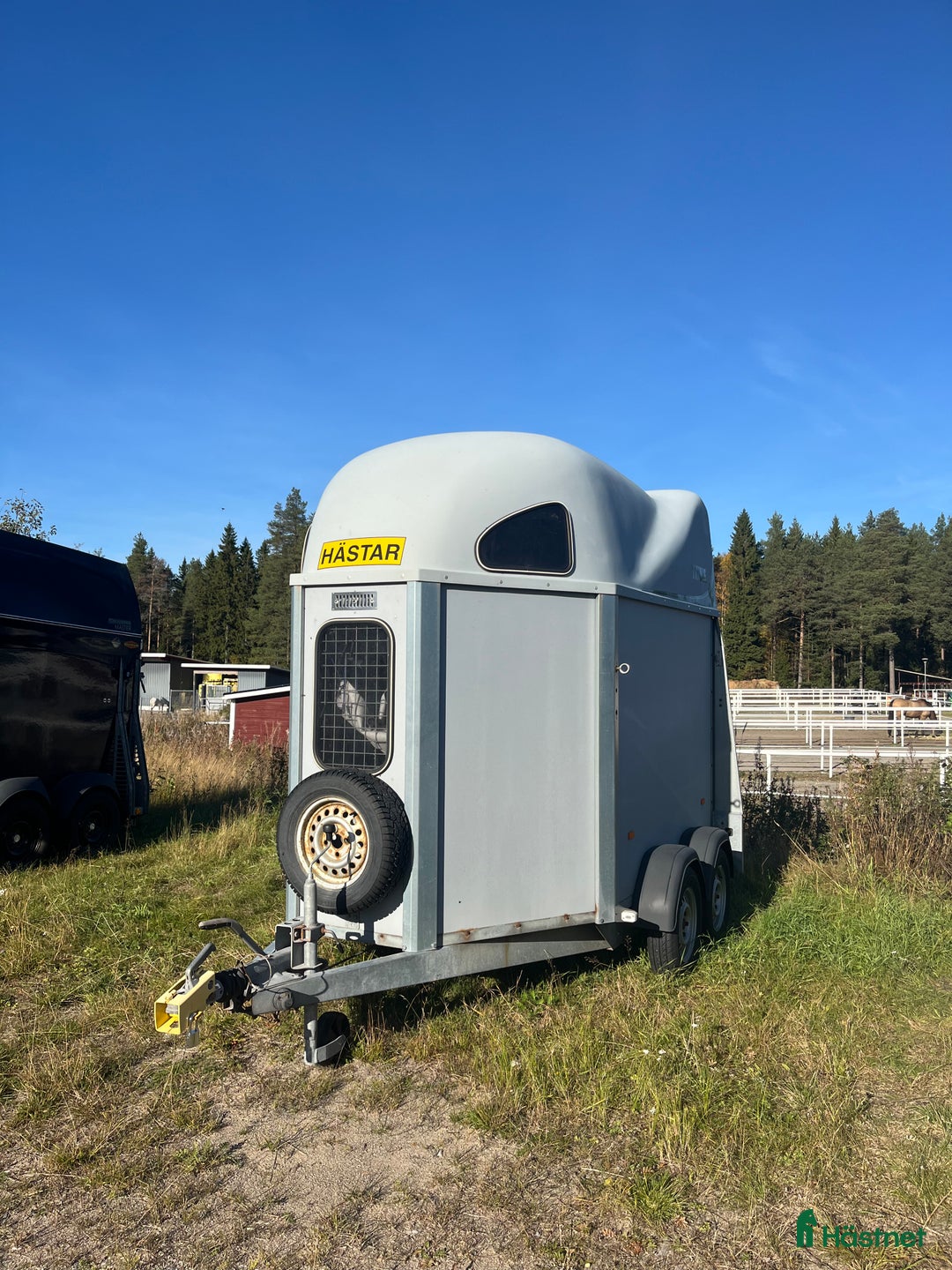 Hästtransporter  fordon & transport till salu: Hästtransport  i Piteå - Annons 4