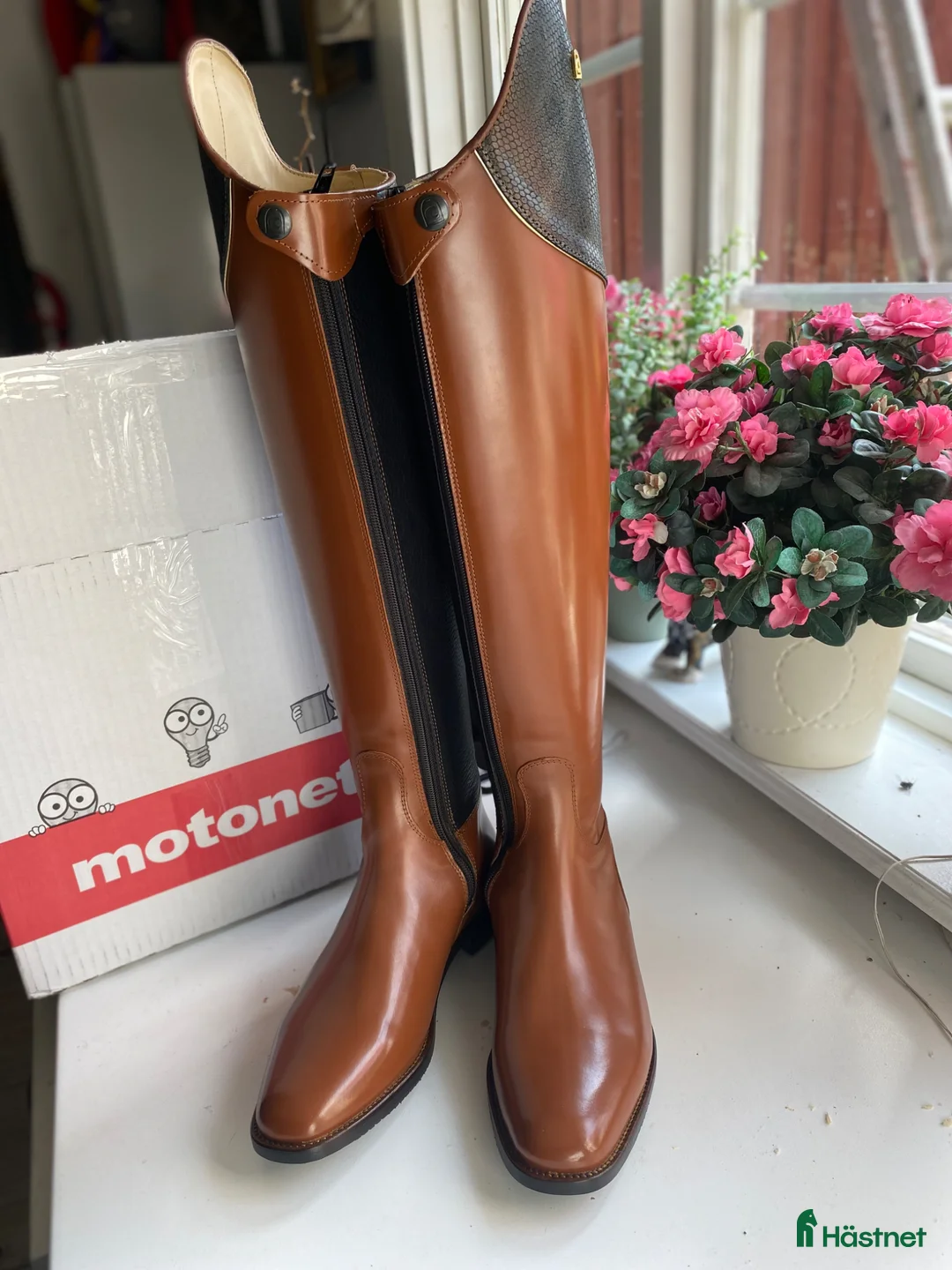 Ridstövlar ryttarutrustning till salu: Nya lyxiga dressyrstövlar - Annons 6