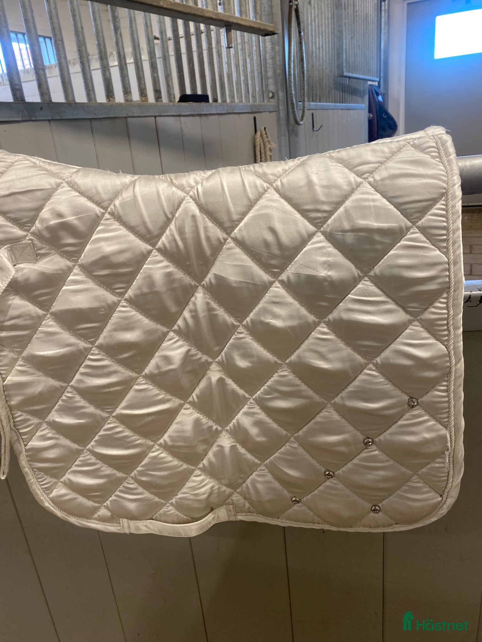 Sadeltillbehör hästutrustning Dressyr schabrak - Annons 2