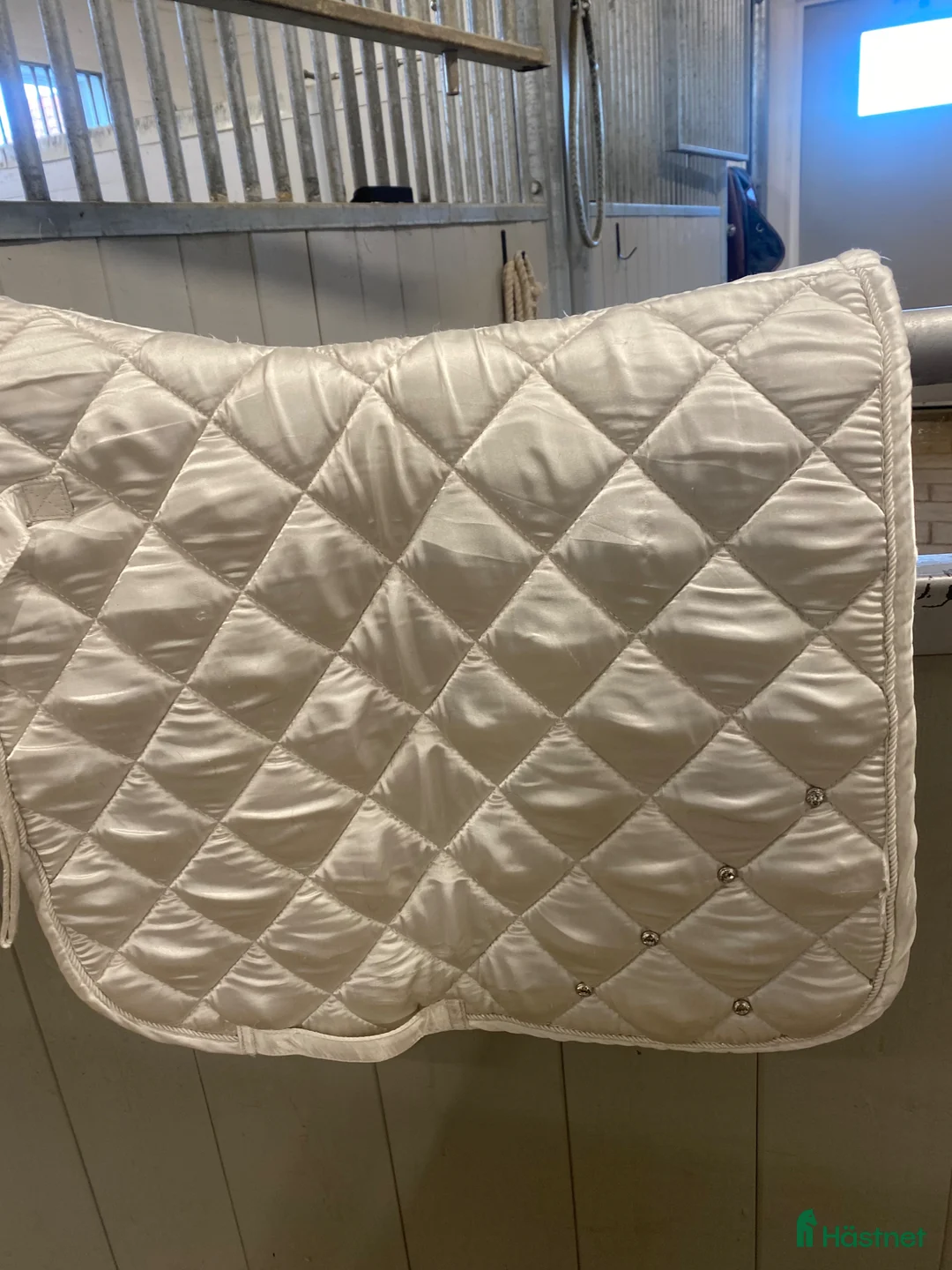 Sadeltillbehör hästutrustning till salu: Dressyr schabrak - Annons 1