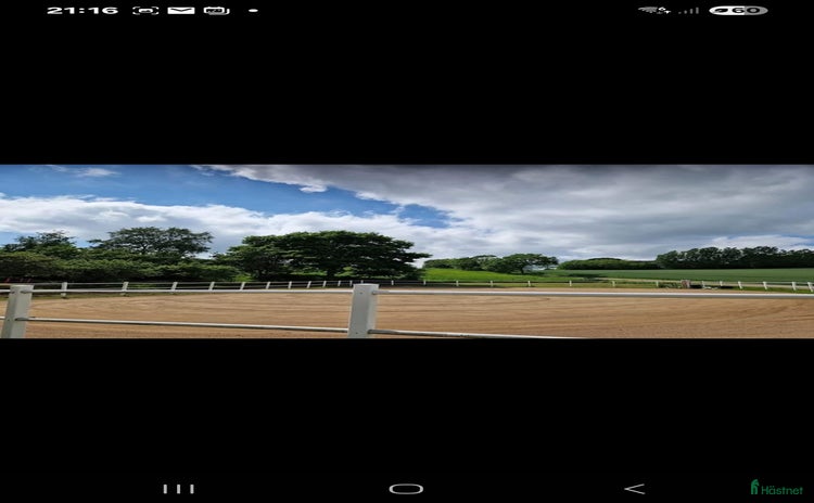  stallplats i Vellinge - Annons 2