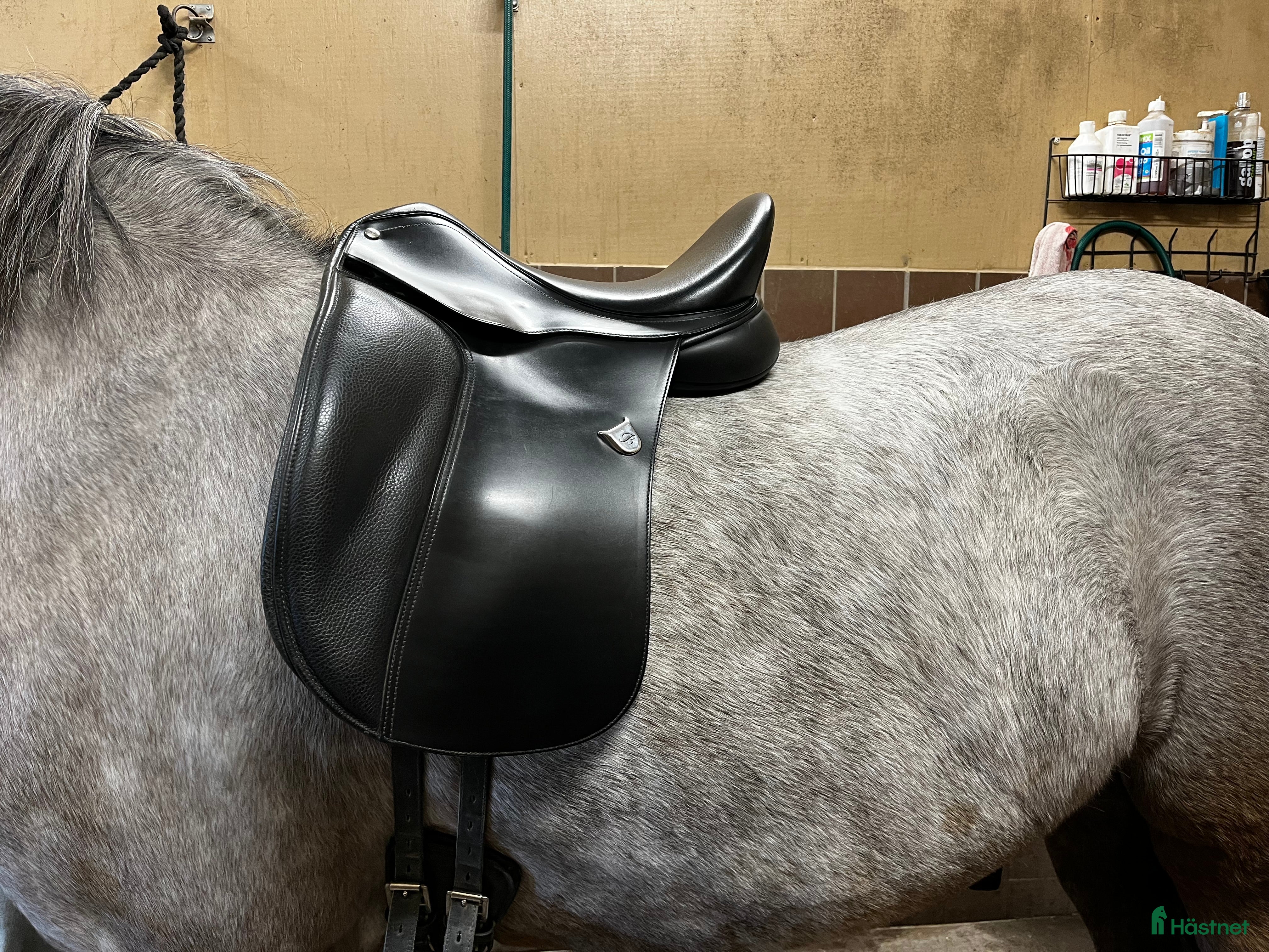 Sadlar hästutrustning till salu: Fin Dressyrsadel till salu - Annons 18