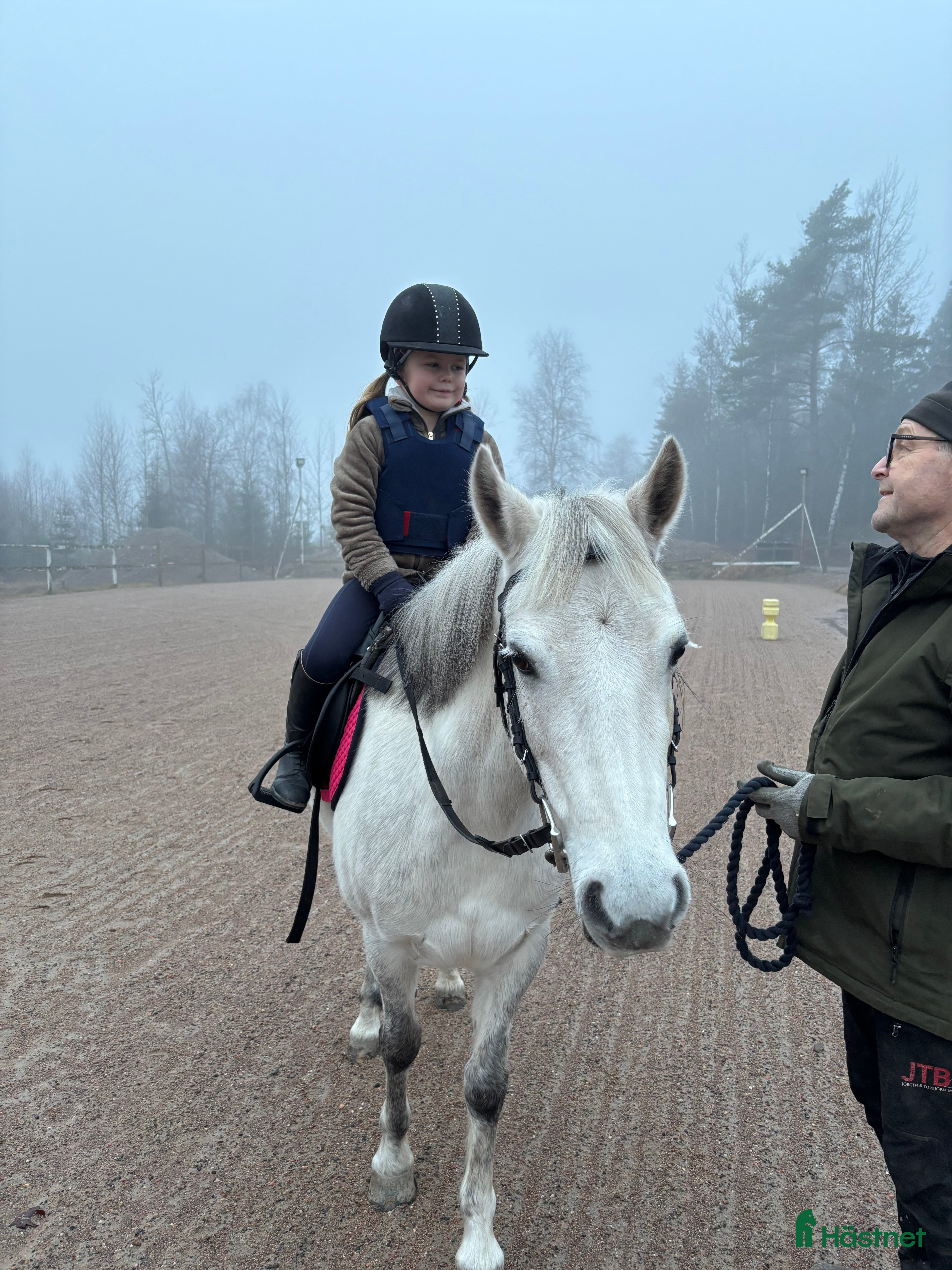 hästar Världens bästa b-ponny - Annons 13