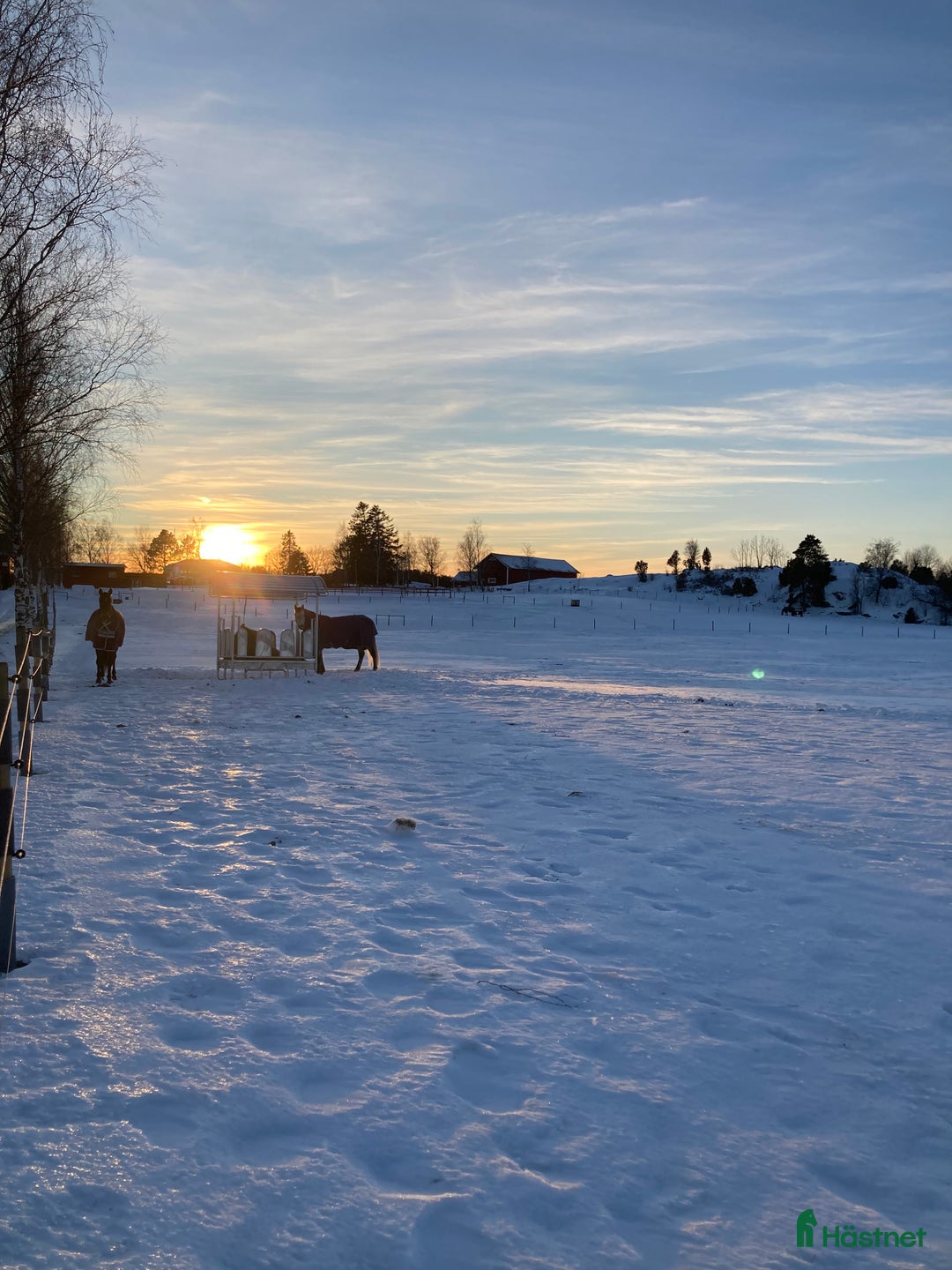  stallplats finnes: Stallplats i mindre stall i Söderköping - Annons 1