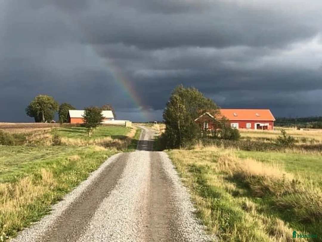  stallplats finnes: Stallplats Alingsås - Annons 10