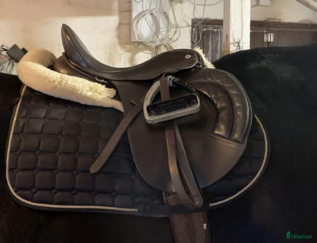 Sadlar hästutrustning till salu: Brun Hoppsadel 17 tum i Örebro - Annons 1
