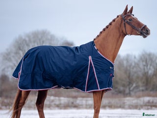 Täcken hästutrustning till salu: Regntäcke 50g i Skövde - Annons 8