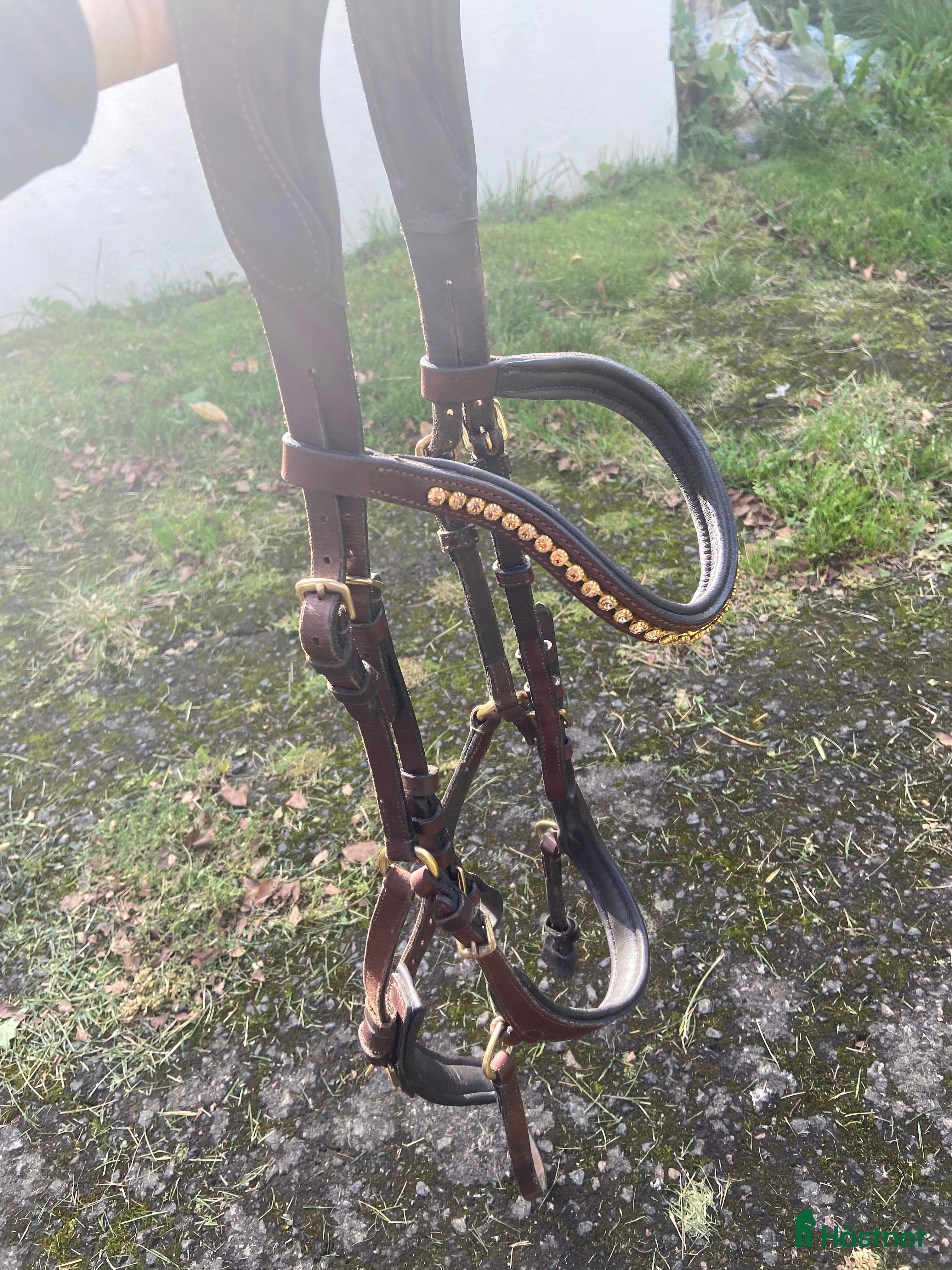 Träns hästutrustning till salu: Fint brunt träns i Skövde - Annons 20