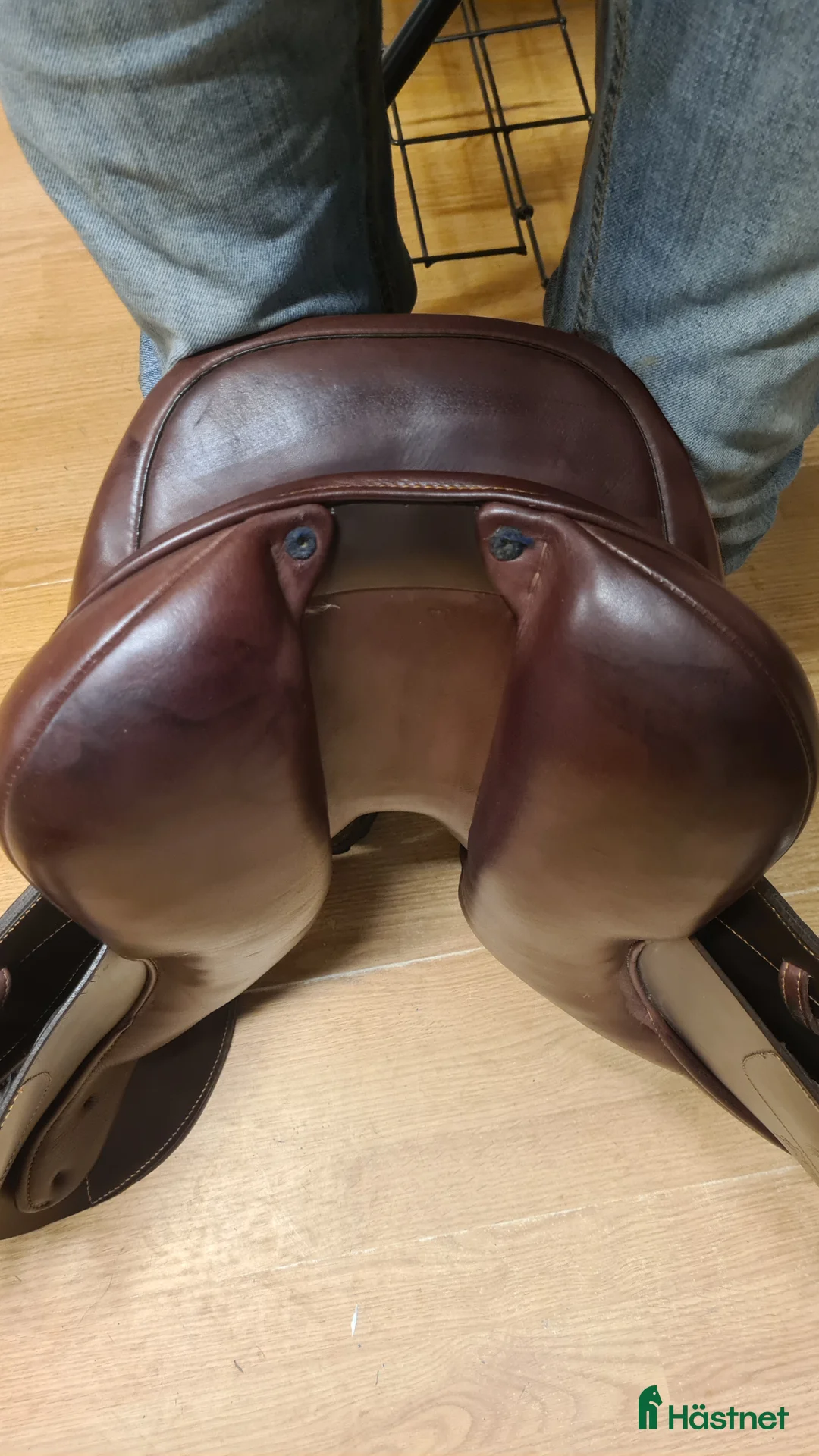 Sadlar hästutrustning till salu: Schleese Lindy Hop i Hamneda - Annons 6