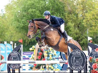 hästar 6-årig hopphäst med kapacitet för framtiden i Västerljung - Annons 3