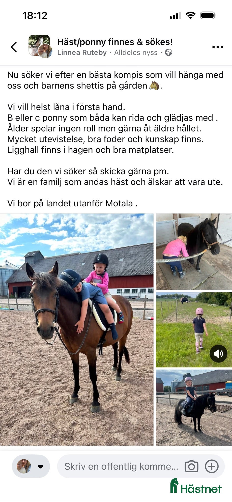  hästar Söker b eller c ponny  - Annons 4
