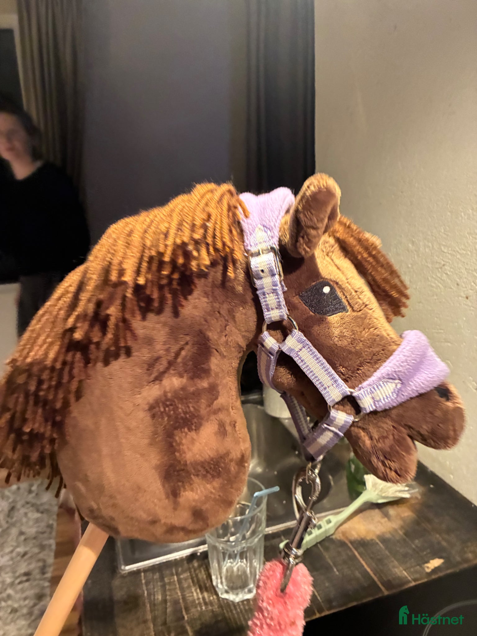  hästar Superfint sto med mycket härlig energi!🌟 - Annons 13