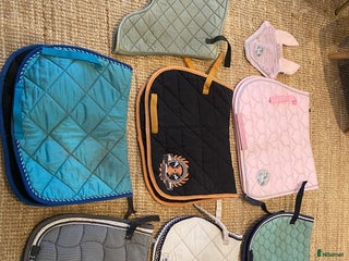 Schabrak & Vojlockar hästutrustning till salu: Div ponnychabrak i Gärsnäs - Annons 4