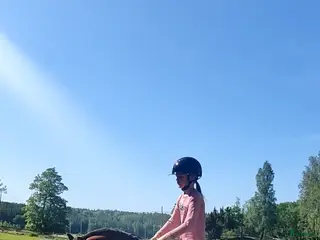 hästar Ponnyn köpes, ung eller äldre och rutinerad - Annons 3