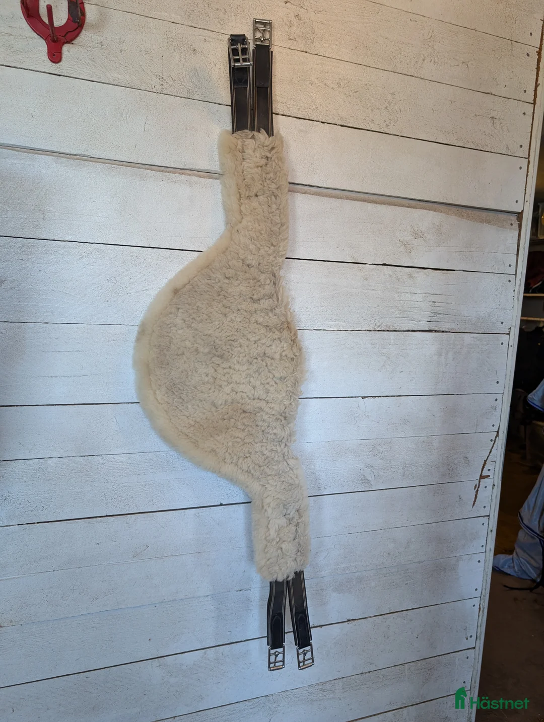 Sadeltillbehör hästutrustning till salu: Magplattegjord i Herrljunga - Annons 2