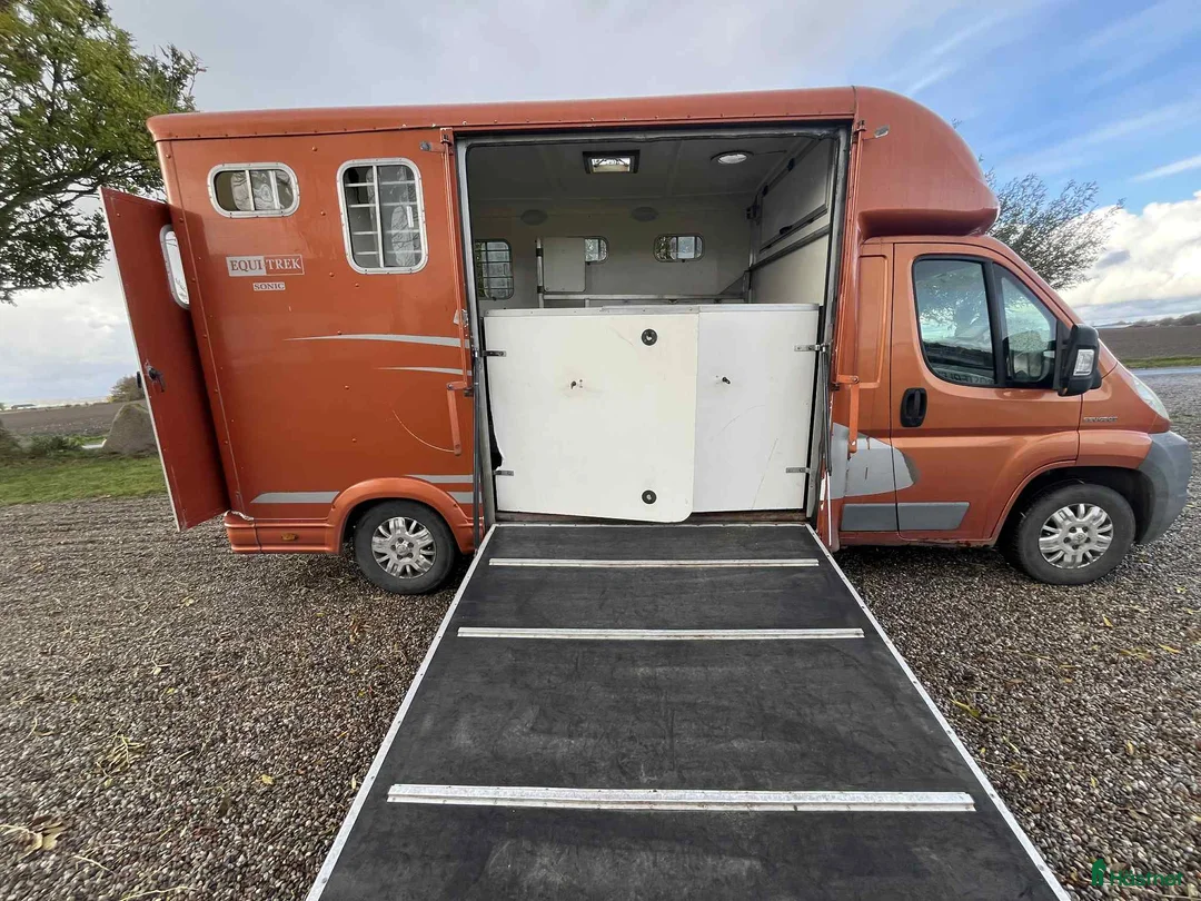 Hästlastbilar  fordon & transport till salu: Fin 3-sitsig hästlastbil med säkerhetslösning i Löderup - Annons 3