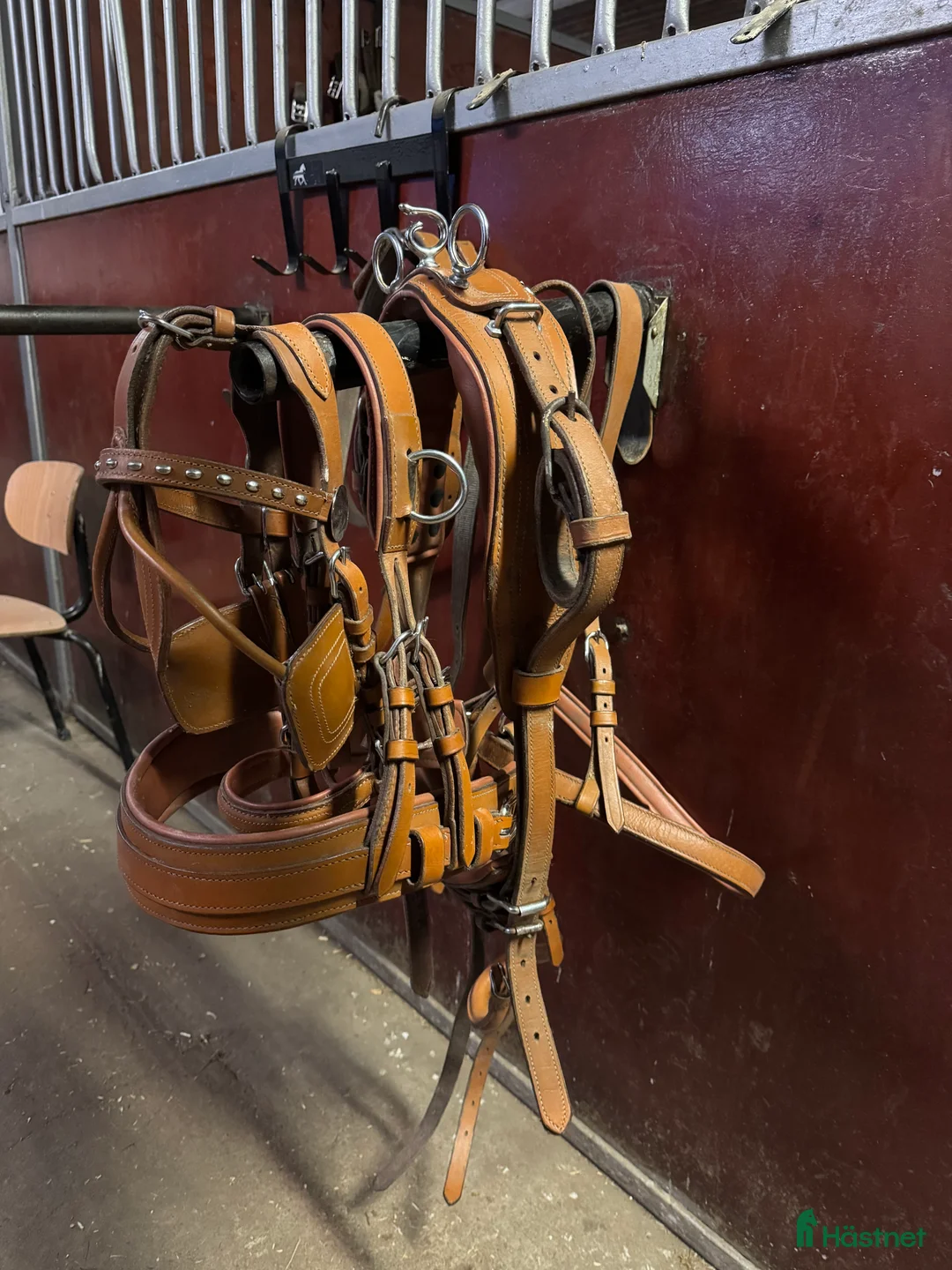 Körselar körning till salu: Komplett körsele till Shetland  i Harlösa - Annons 2