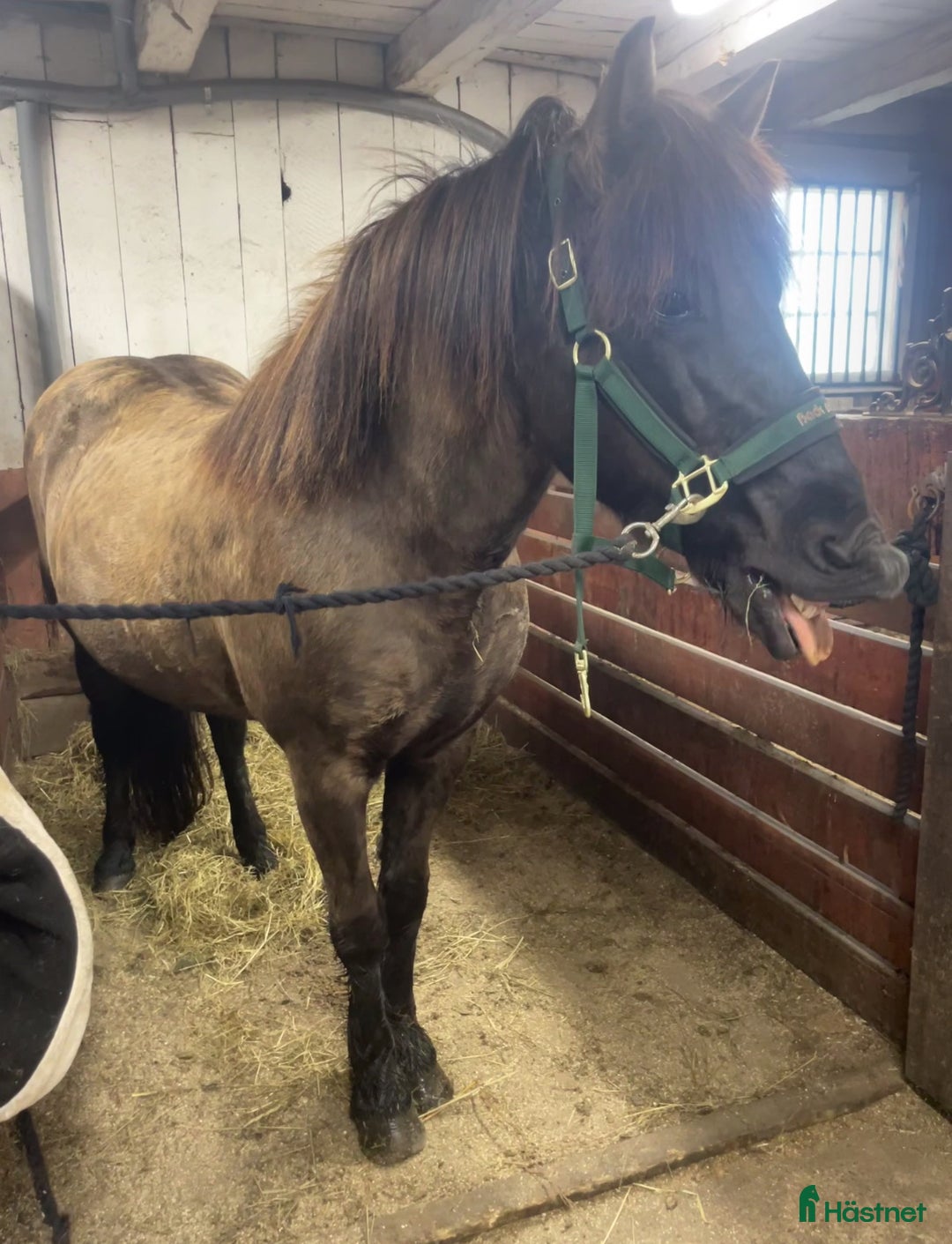 Galleribild {{count}}