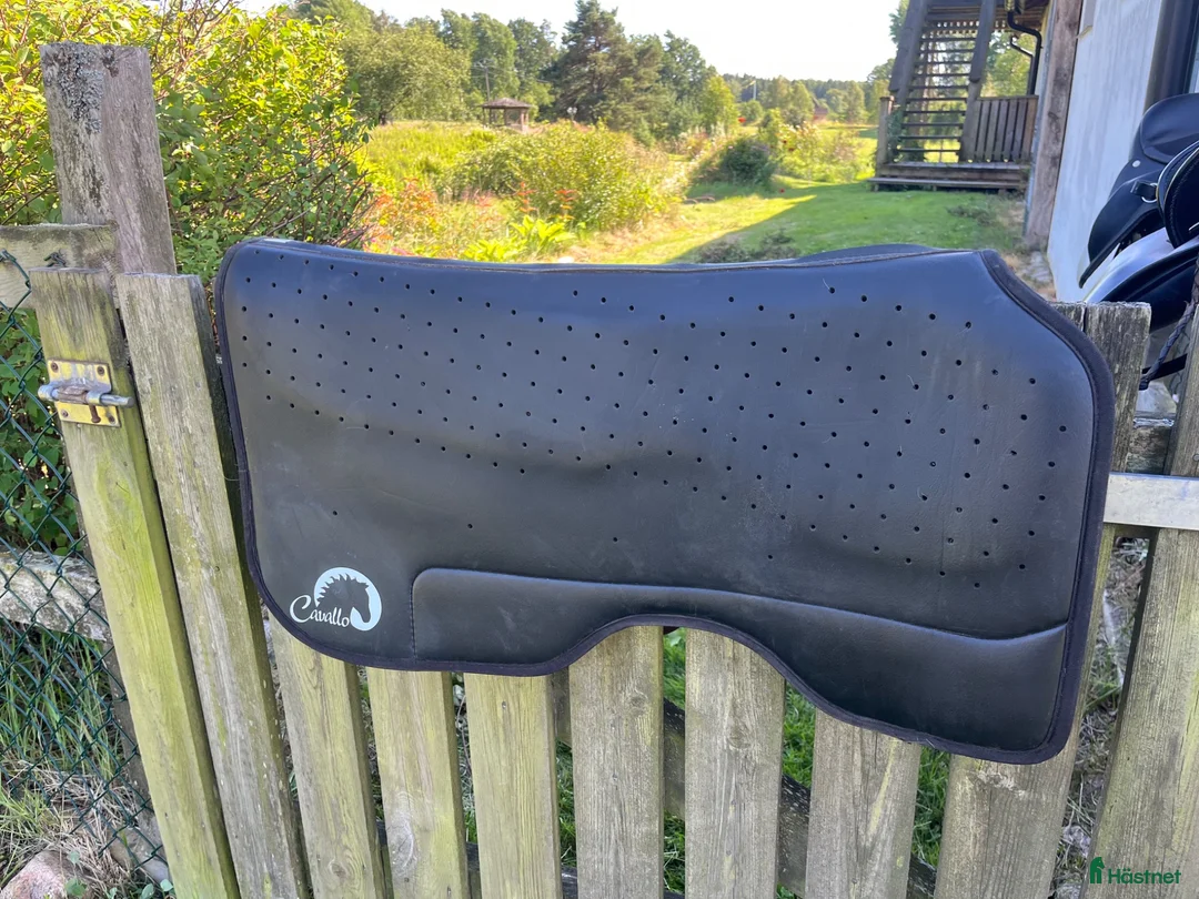 Schabrak & Vojlockar hästutrustning till salu: Cavallo western pad - Annons 1