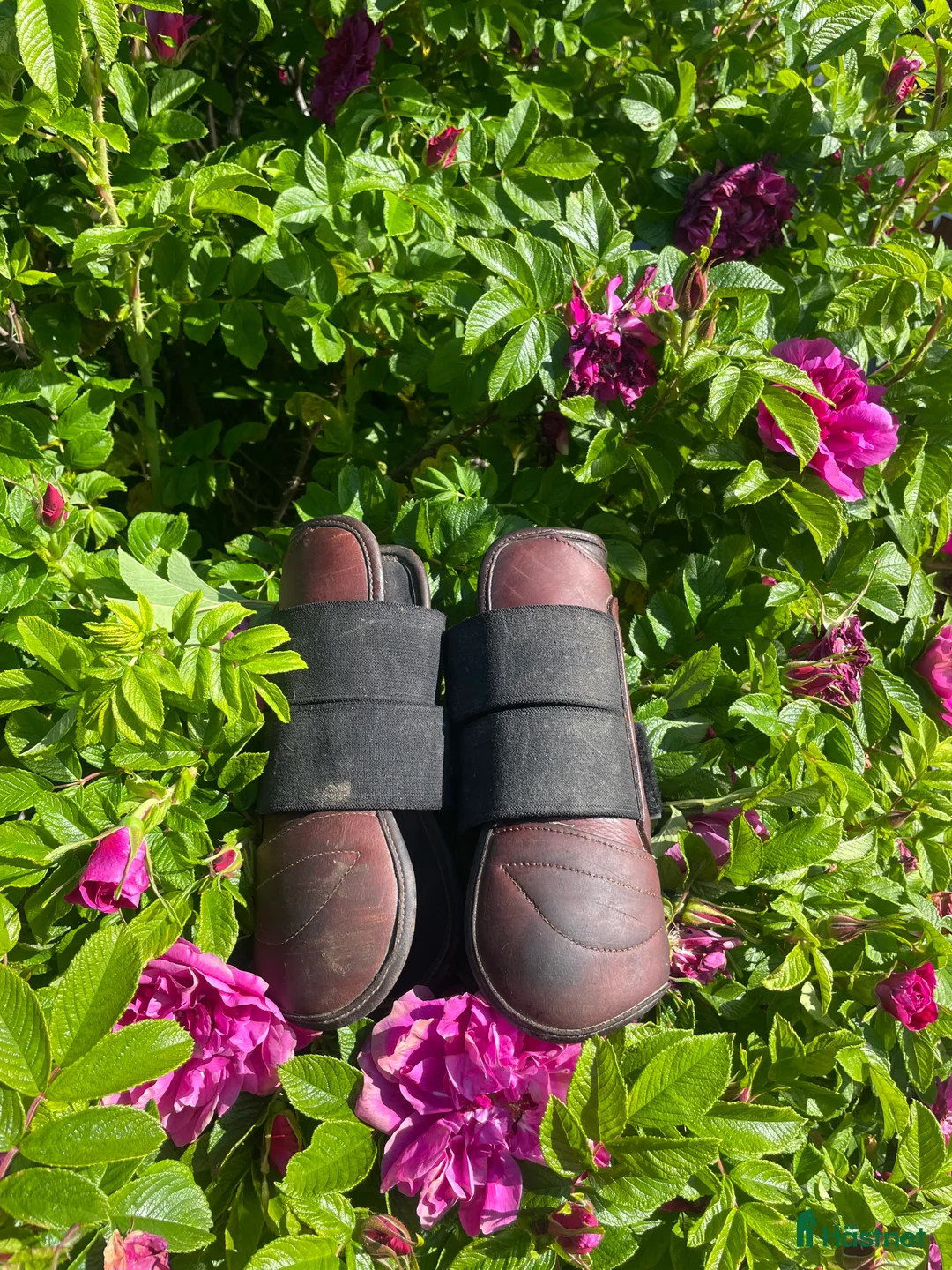 Benskydd hästutrustning till salu: Benskydd i Östersund - Annons 3