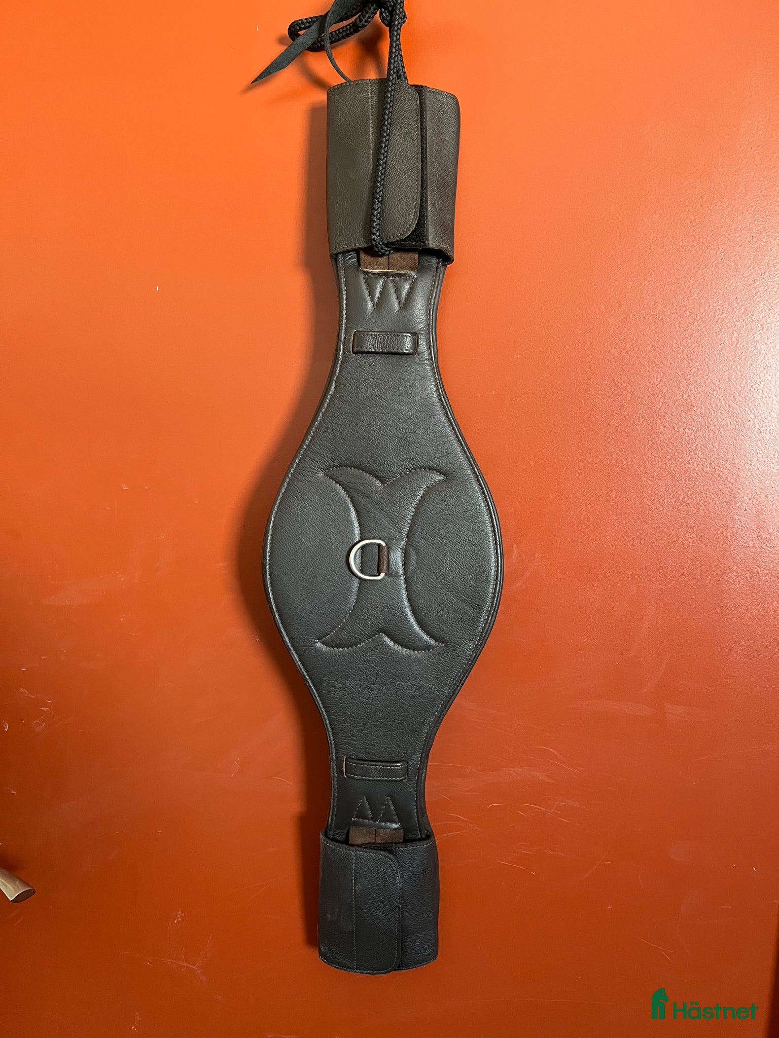 Sadeltillbehör hästutrustning Dressyrgjord 85cm - Annons 6