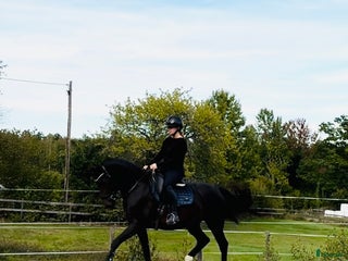 hästar Unghäst för framtiden! i Västervik - Annons 17
