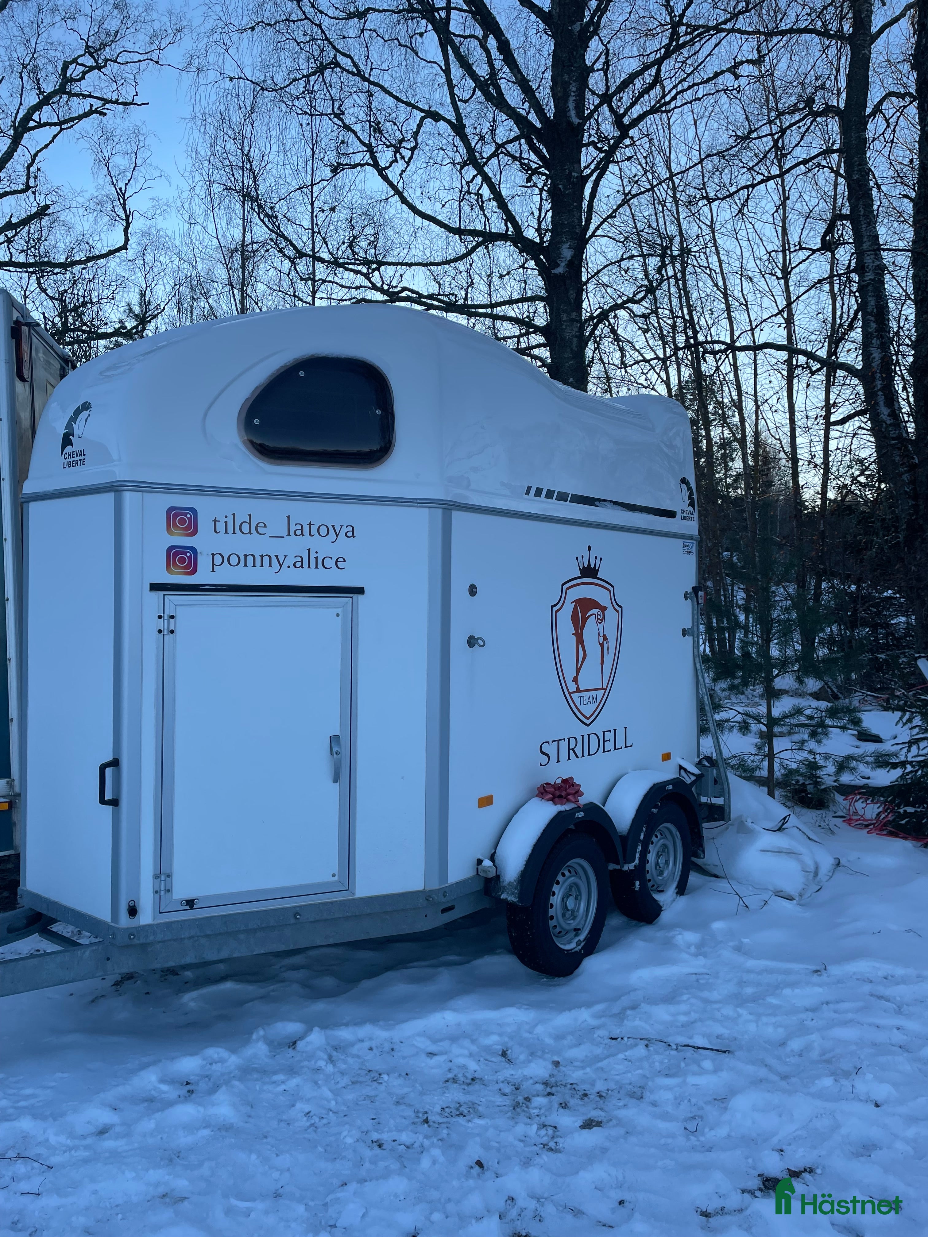 Hästtransporter  fordon & transport till salu: Vit välvårdad Cheval Liberté Gold (momsad) i Vimmerby - Annons 7