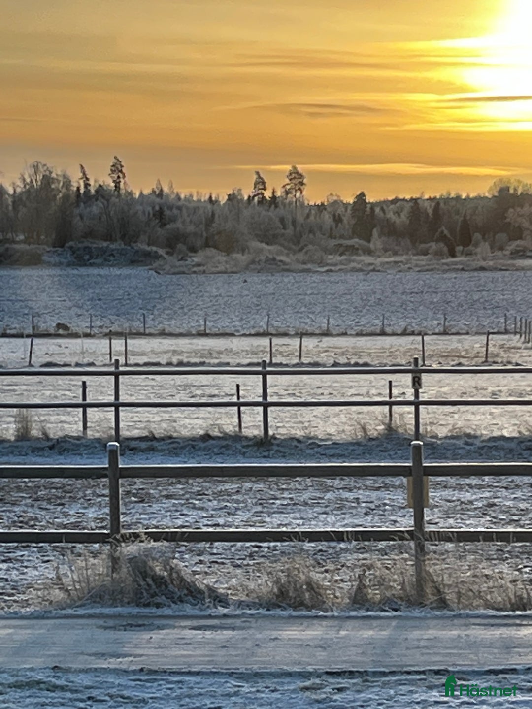  stallplats finnes: Boxplats och lösdrift  i Västerås - Annons 7