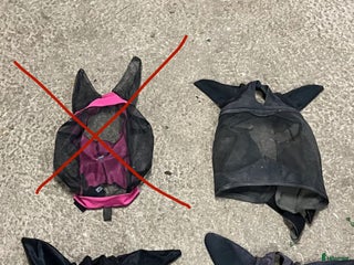 Övrig Hästutrustning hästutrustning till salu: Flughuvor - Annons 16