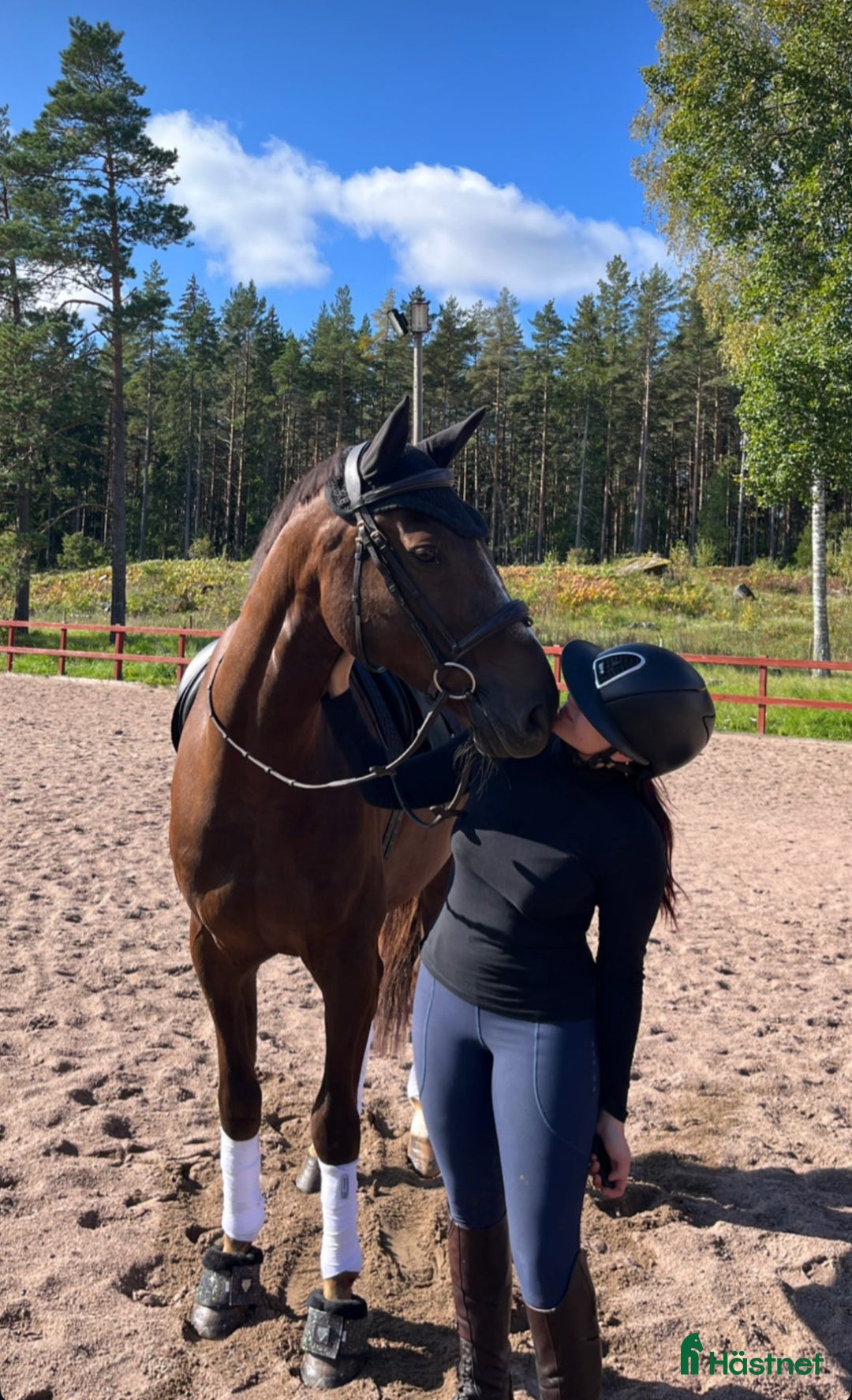 Dressyr hästar till salu: Dressyrhäst för framtiden! i Vattholma - Annons 6