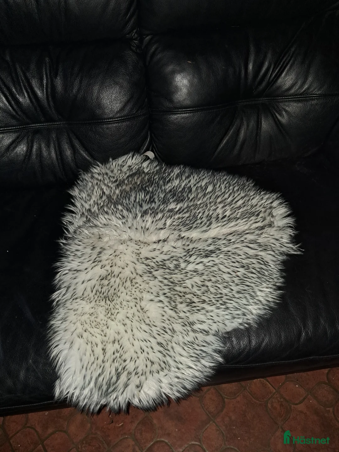 Sadeltillbehör hästutrustning till salu: Rumpvärmare  i Storfors - Annons 1