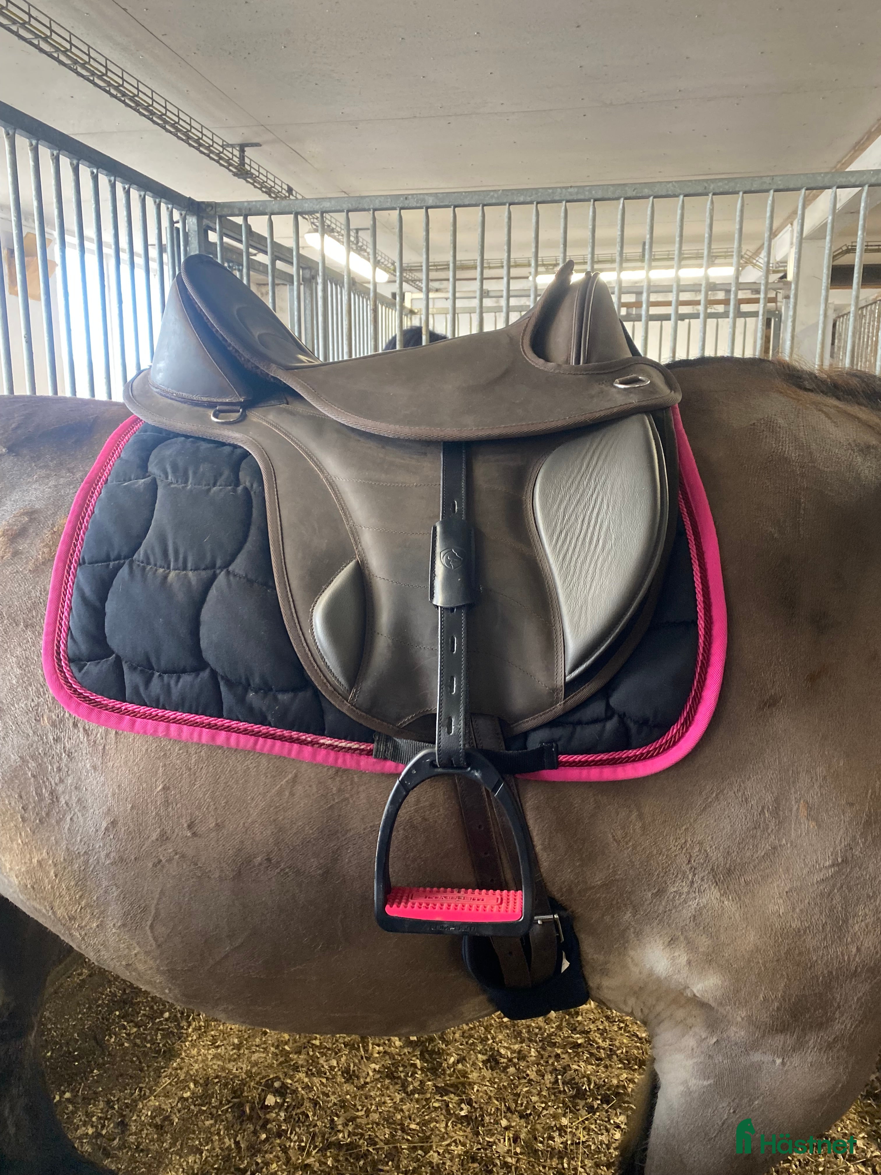 Sadlar hästutrustning till salu: Edix Courville  i Ösmo - Annons 15