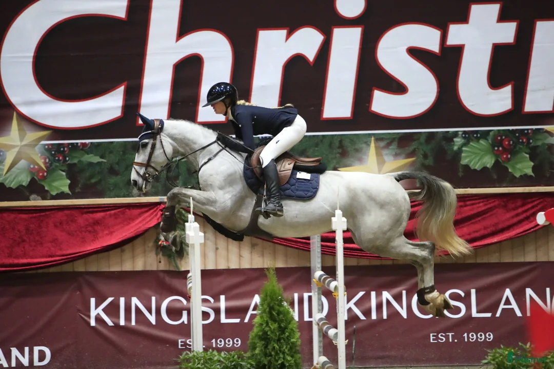 Hoppning hästar till salu: Lovende 6 års  - Annons 3