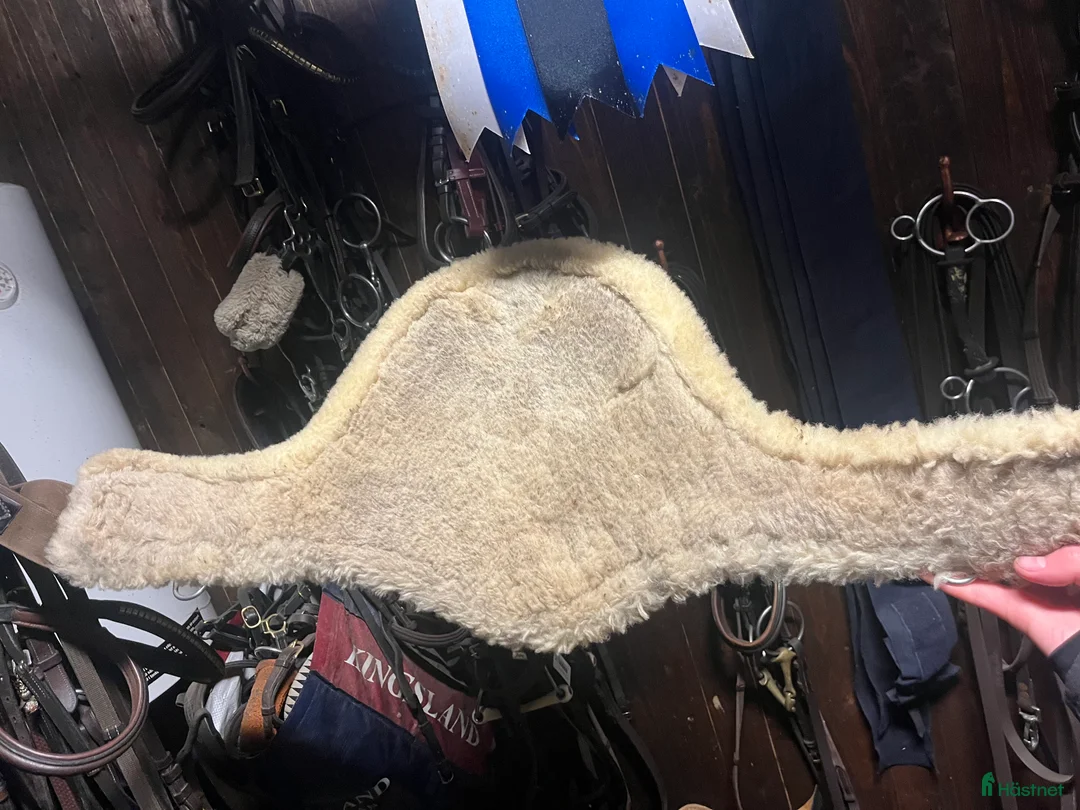 Sadeltillbehör hästutrustning till salu: Fluff magplatta 110 i Värends Nöbbele - Annons 2