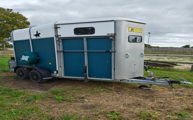 Hästtransporter  fordon & transport till salu i Fjälkinge - Annons 15