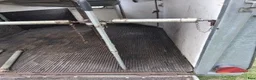 Hästtransporter  fordon & transport till salu: Tvåaxlad Hästtransport Gaupen Wärmlandsvagn  - Annons 6