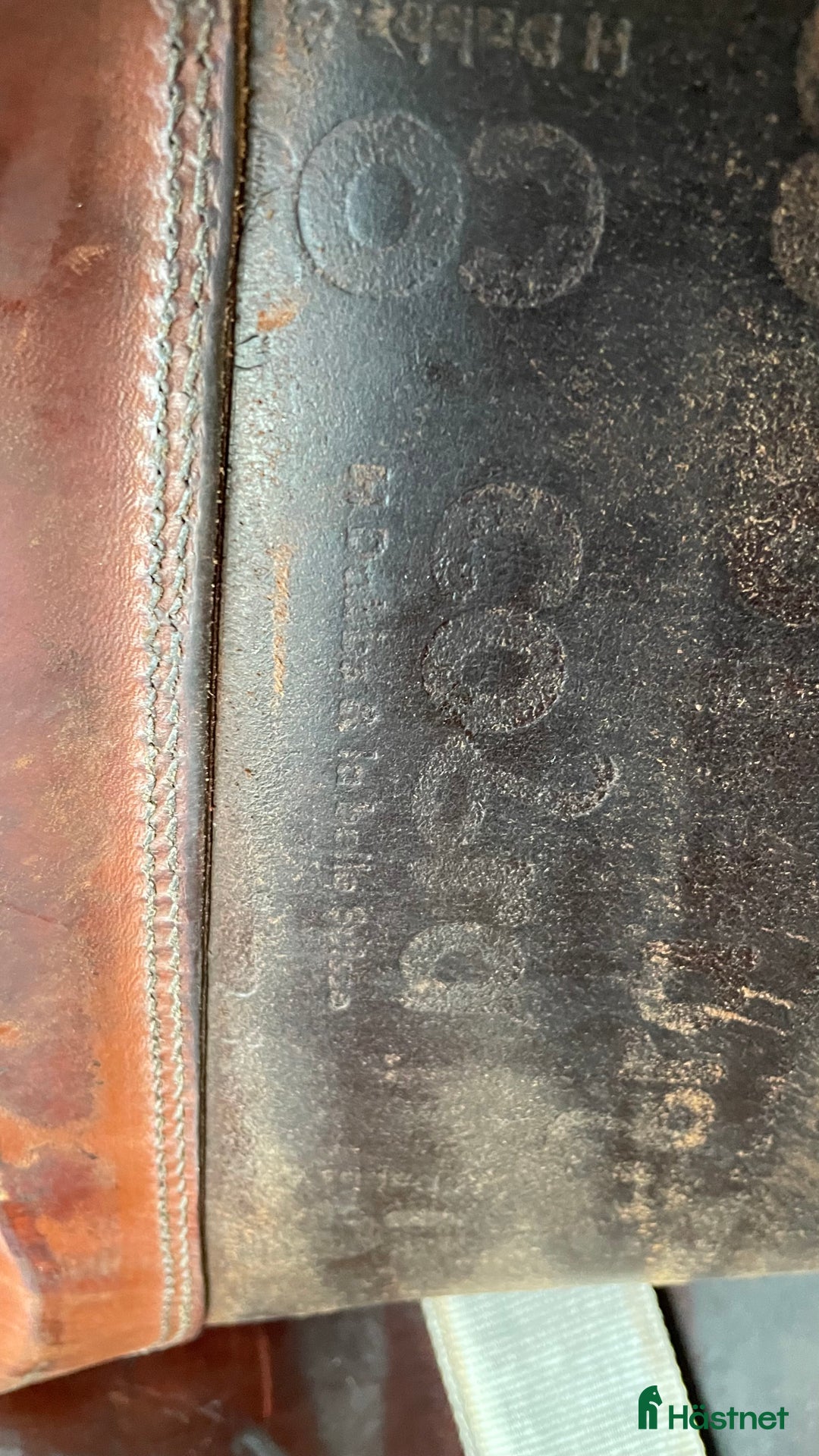 Sadlar hästutrustning till salu: Cobra dressyrsadel- skönaste sadeln! i Onsala - Annons 6